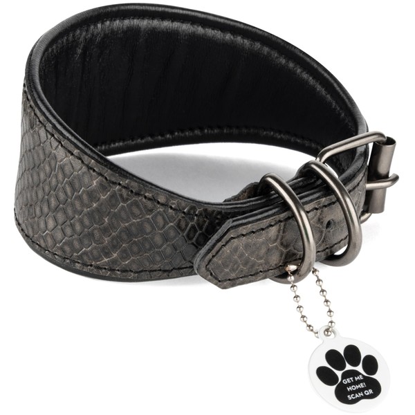 FAVPET Luxury Genuine Leather Greyhound Collar Wide with QR Code