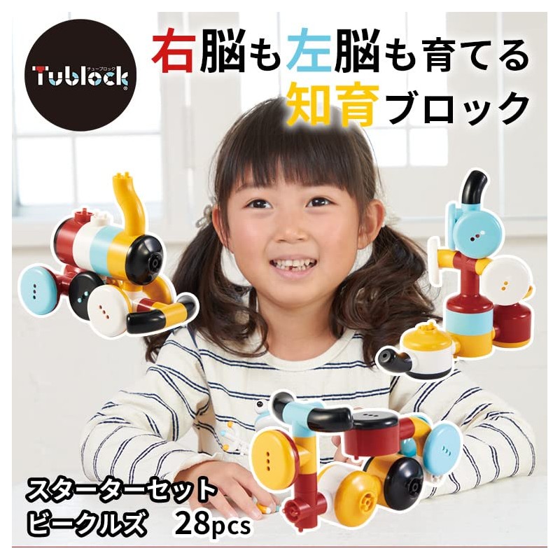 Blocks, Toy to Raise Right and Left Brain, Assembly, Educational