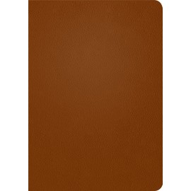 NLT Life Application Study Bible, Third Edition (Genuine Leather, Brown, Red Letter)