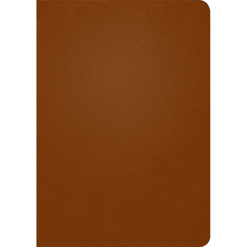 NLT Life Application Study Bible, Third Edition (Genuine Leather, Brown,
