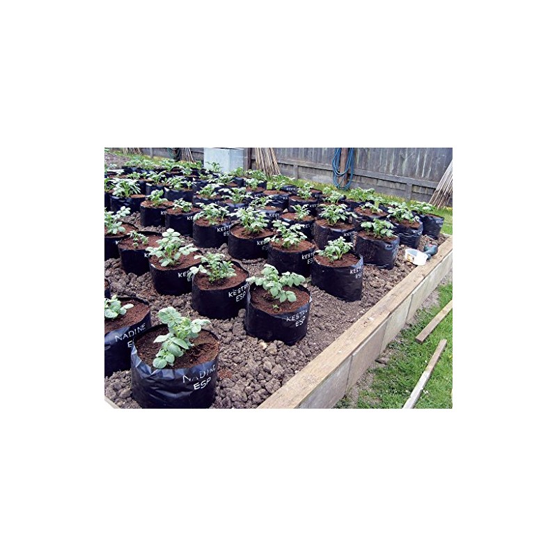 Jamieson Brothers Polypots 5 pack re-usable pots holds 20 litres