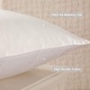 THXSILK 100% Mulberry Silk Pillowcase with Cotton Underside - King