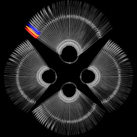 200pcs Clear Pointed Shaped Nail Polish Swatch Stick Nail Swatch Sticks With Ring,False Nails Sample Sticks for Home or Salon Use