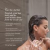 O3NT Energizing Shampoo - High-Performance Natural Treatment - Energizing Shampoo