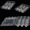 Pack of 50 Quail Egg Boxes, Quail Egg Boxes, 12