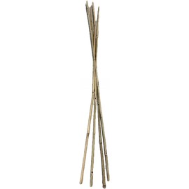 VBS - Bamboo Garden Stakes - Bambo Sticks, Bamboo Plant Stakes for Outdoor Plants, Plant Support Stakes for Indoor Plants (4 Foot - 50 Pack)