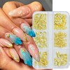 Muorruo 6 Grid Beach Nail Charms, Golden Shell Nail Rhinestones,