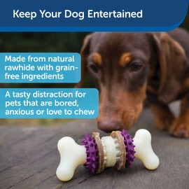 PetSafe PetSafe Busy Buddy Bristle Bone - Treat-Holding Toy for Dogs - Treat Rings Included - Treats Thoroughly Mixed During Bake to Prevent Choking - Rigorously Tested Ingredients - Purple, Small
