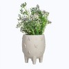 Sass & Belle Leggy Cement Planter with Bees