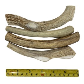 WhiteTail Naturals | Premium Deer Antlers for Dogs | 1 Pound (lb) Pack | All Natural Antler Dog Chews | Naturally Shed, Sourced and Crafted in USA | Dental Hygene Treat