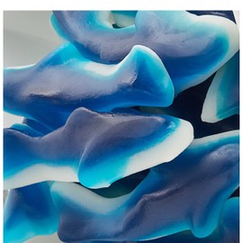 Bayside Candy Gummy Collection - Gummi Collection Blue Gummy Sharks (1, Pounds)