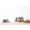 Tea Life 31012 Vegetable Storage Bag, Onion, Width 10.8 x