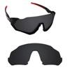 Alphax Stealth Black Polarized Replacement Lenses for Oakley Flight Jacket
