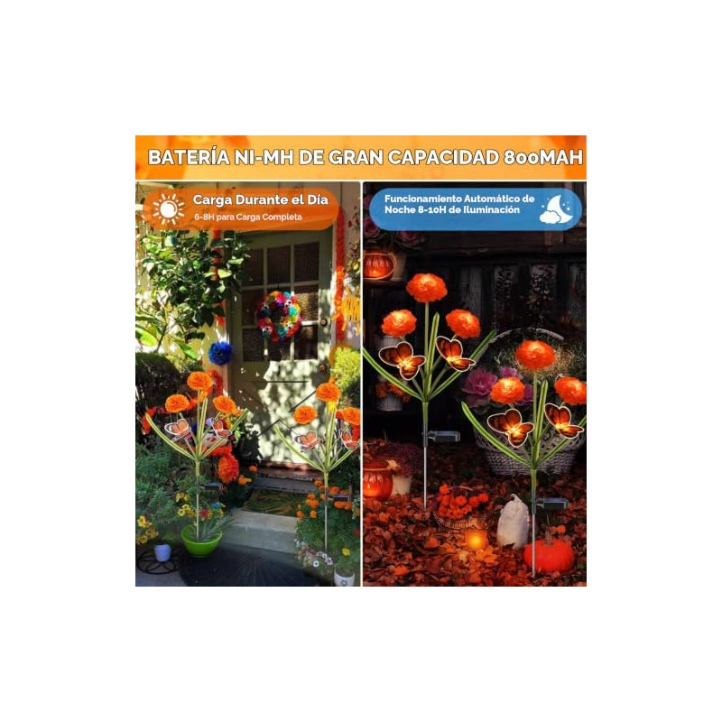 Dia de Los Muertos - Luces de flores de caléndula