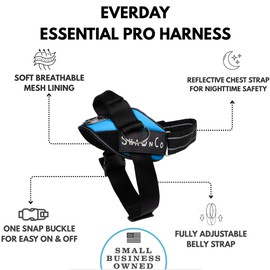 ShawnCo Essential Pro Dog Harness, No-Pull Pet Vest with 3 Leash Clips and Removable, Reflective Side Patches, Adjustable and Padded Harness for Small, Medium and Large Dogs (Oceanic Blue, S)