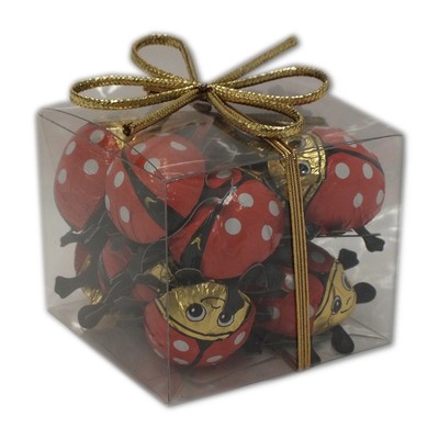 Riegelein Chocolate Mini Ladybugs in Gift Container 100g