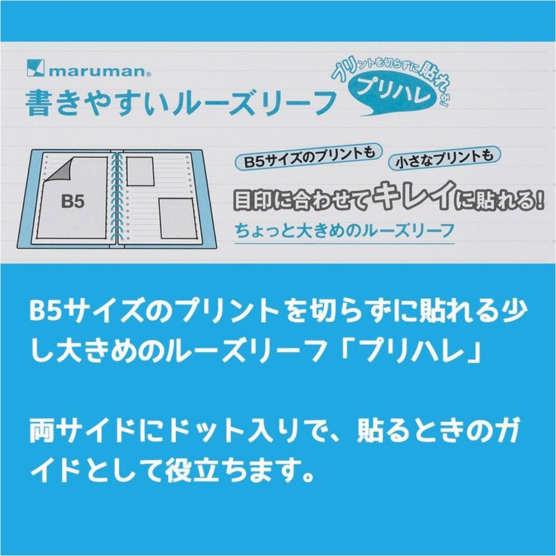 Maruman B5 L1293 Deformed Loose Leaf Pre Hare 0.2 inch