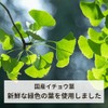 Domestic Ginkgo Biloba Tea, 0.1 oz (3 g) x 30
