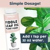 TPS NUTRIENTS Fiddle Leaf Fig Plant Food for All Fig