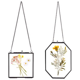WADORN 2 Styles Pressed Flower Glass Picture Frames, Vintage Hanging Picture Frames with Chain Handmade Plant Specimen Wall Photo Ornament Display for Artwork Frame Home Wall Decor Family Photo