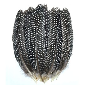 50pcs 6-8 inches Natural Spotted Feathers for Craft Jewelry Clothing DIY Decoration Guinea Fowl Feathers (Natural)