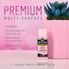 FolkArt Best Acrylic Craft Featuring 5 Premium Pink Formulas, 96424