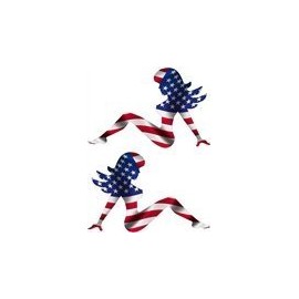 BIKERSTUFFUS Mudflap Girl American USA Flag Laptop Toolbox Hard HAT Set of 2 Stickers