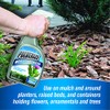 Pulverize 100534811 Messina Weed & Grass Killer, White