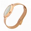 Toff London Pride Rainbow - White Dots Women's 38 mm