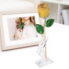 Golded Rose Flower Yellow 24K with Base Gift Decoration for