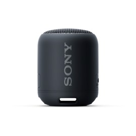 Sony Portable Bluetooth Speaker - Black (Renewed)