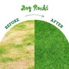 Dog Rocks for Urine Burning Grass - 200g Natural Pet