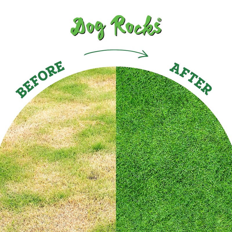 Dog Rocks for Urine Burning Grass - 200g Natural Pet