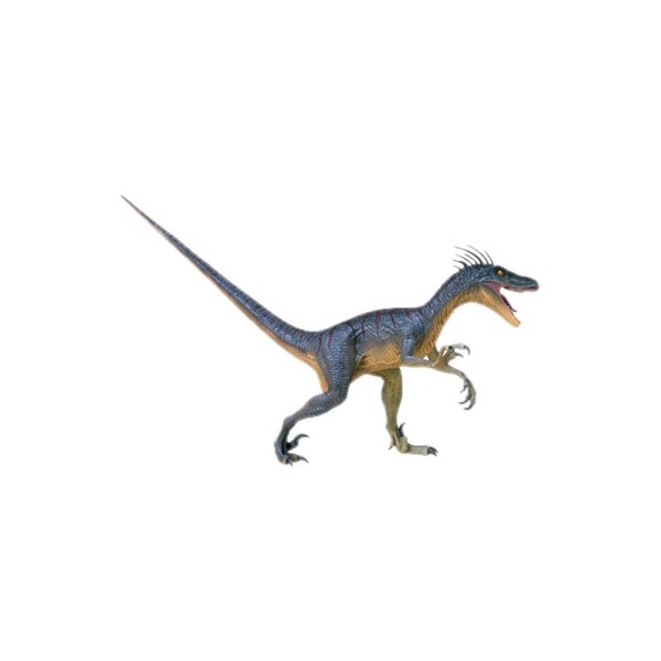 4D Vision Velociraptor Anatomy Modely