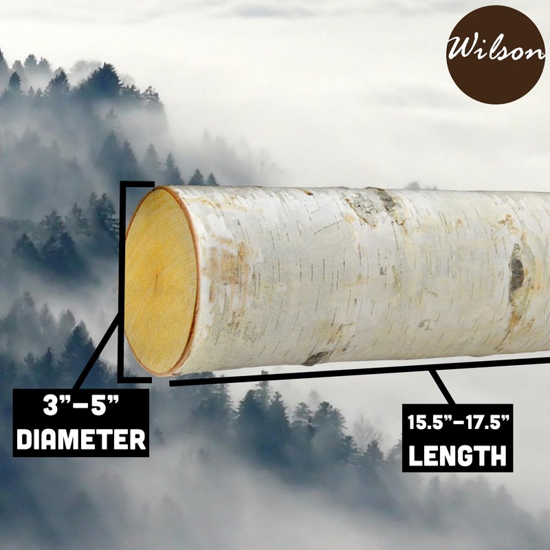 Wilson Birch Fireplace Large Log Set (5 Logs: 3''-5'' Dia.