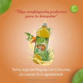 Bebida 10 Jugo Con Curcuma Verde Santo Natural Original 1l