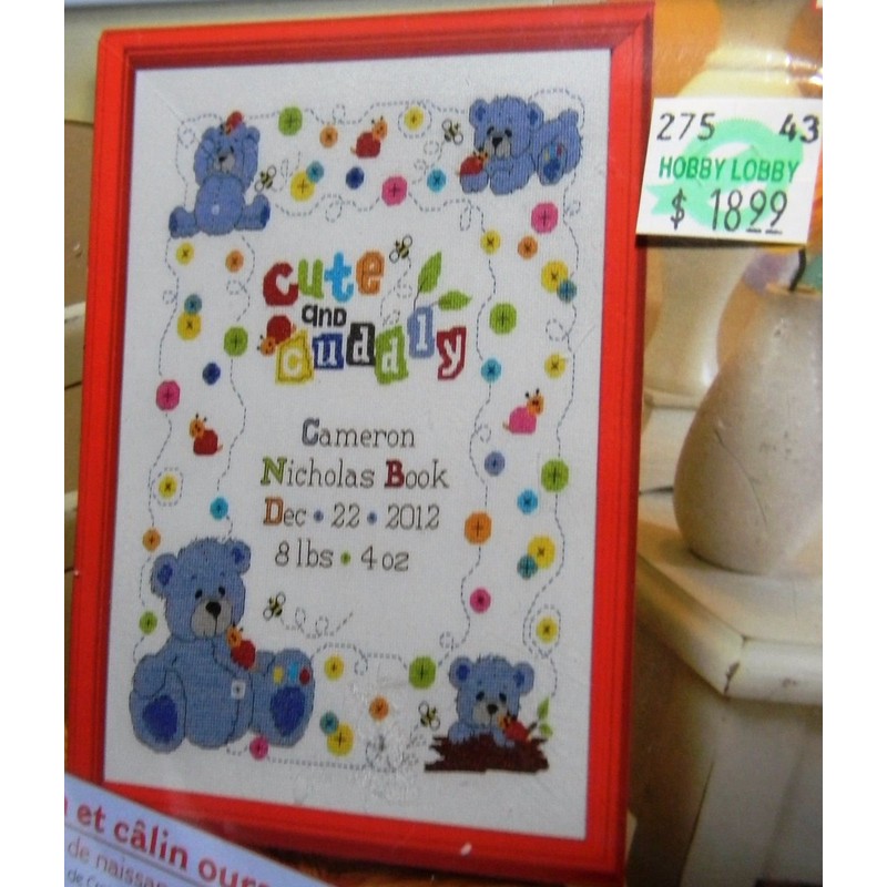 Bucilla Counted Cross Stitch Birth Record Kit, 10 by 13-Inch,