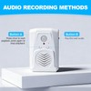 CYSFETENA PIR Motion Activated Sound Player - Haunted House Scream