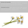 D'Bullón Professional Moisturising Chamomile Cream for Dry Skin 50 ml