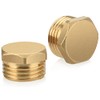 Nutmanel Brass Plug 1/2 Inch Male Thread, Blanking Plug AG,