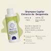 Matimati Shampoo Bergamota Procrecimiento Sin Sulfatos Matimati 425ml