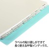 Plus Index A4, 2 Holes, Removable Labels, Non-Printed, 5 Stacks,