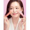 Hanskin Blemish Cover Concealer Color Edition 12g / 한스킨 블레미쉬