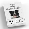Global Designs Walkies Border Collie Themed Wall Hung Lead Hook