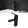 Sink Faucet Black Single Handle Single Hole Cold Stainless Steel