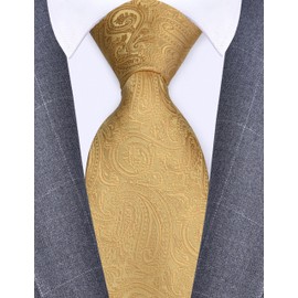 GUSLESON Mens Gold Tie for Wedding Business Solid Silk Paisley Yellow Necktie (1020-17)