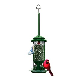 Brome Squirrel Buster Standard Squirrel-Proof Bird Feeder with 4 Metal Perches (Garden Green, 2-Pack)