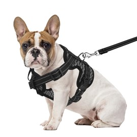 PET'S HUB Small Dog Harness, No Pull Pet Harness With 2 Lead Clips, Soft Padded Dog Vest Harness, Reflective & No-Choke Control Handle, With Leash. (Grey, Small)