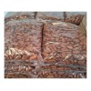 Cacao En Grano 5 Kg