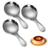 3 Pcs Stainless Steel Short Handle Spoons,Mini Short Handle Spoon,